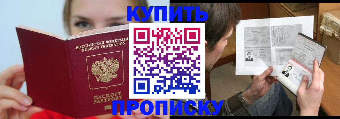 временная регистрация 2025 в Новгородской области